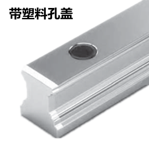 力士樂導軌 滾珠導軌
德國力士樂配用塑料孔蓋的SNS導軌 力士樂導軌 滾珠導軌
德國力士樂配用塑料孔蓋的SNS導軌